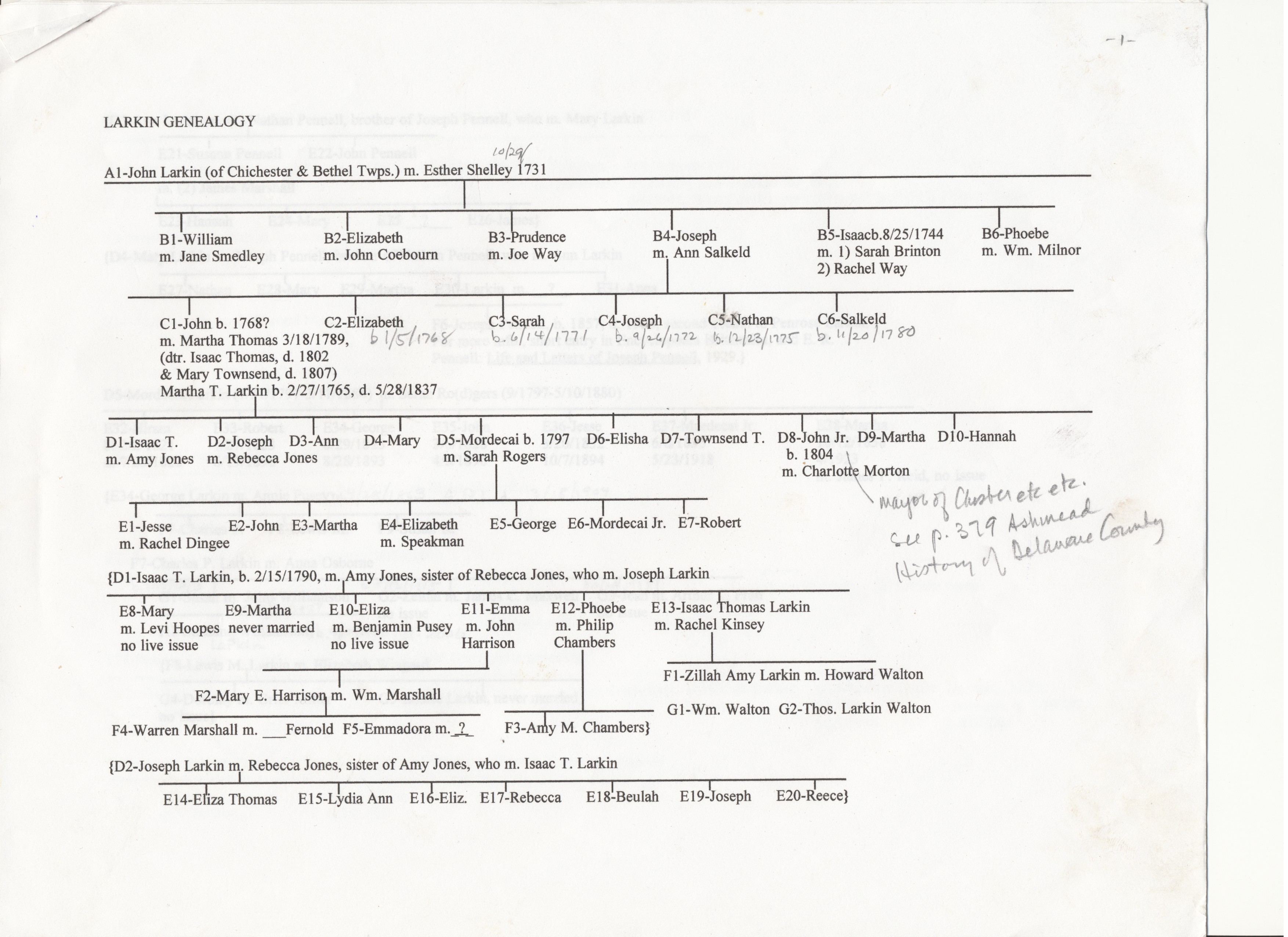 LarkinGeneology2-1.jpg